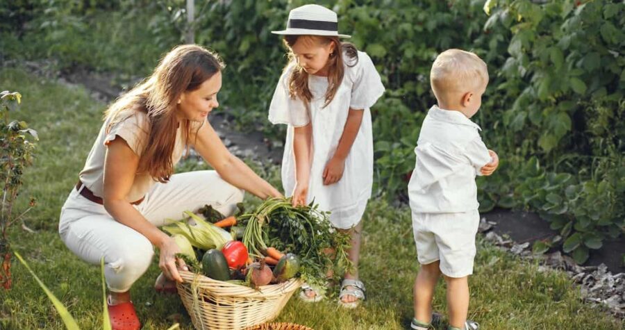 Woman in Brown Shirt and White Pants Harvesting Fresh Vegetables