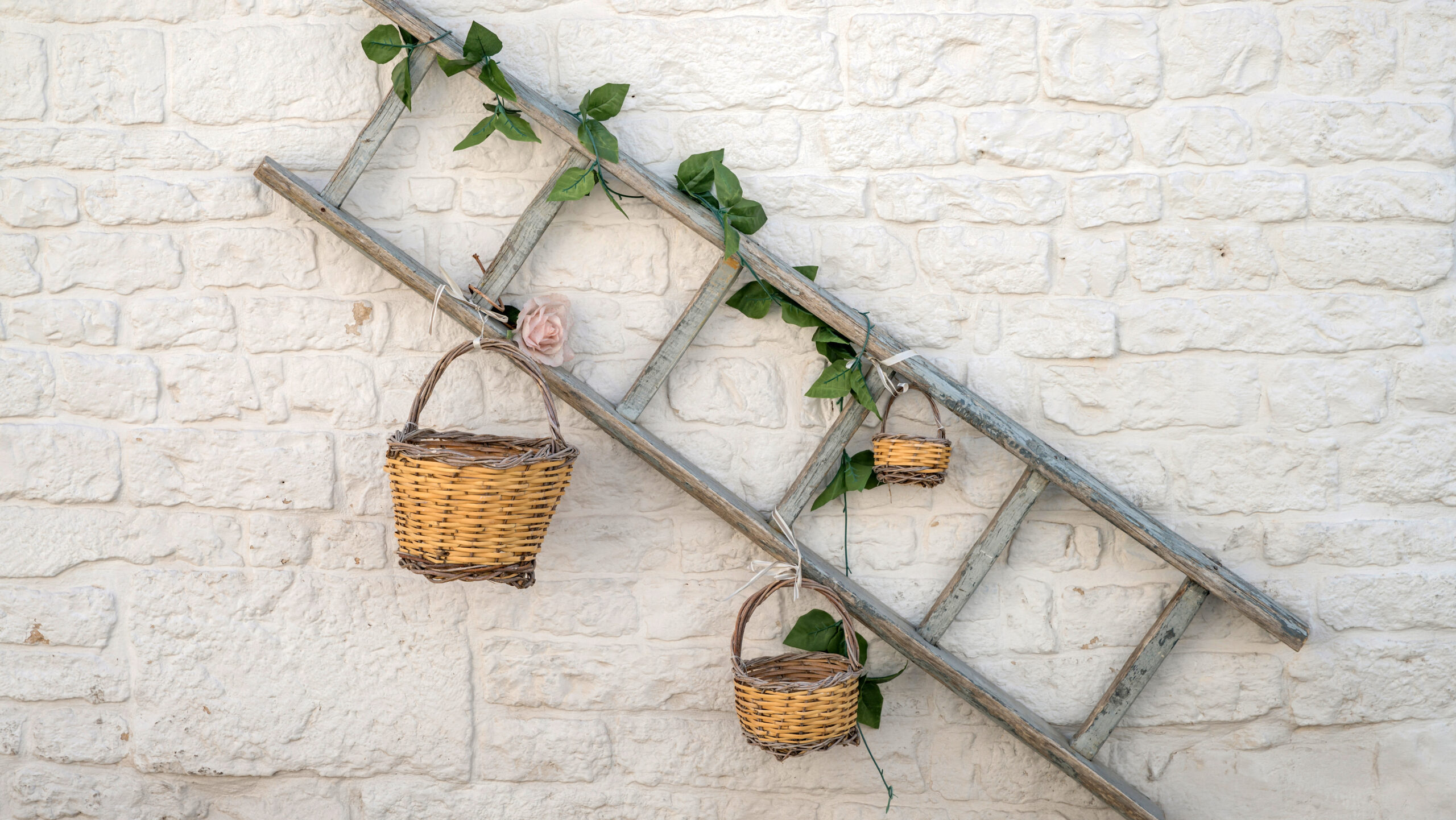 an old ladder reused as decor for outdoor while a plant grow on it