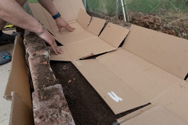 Why People Are Lining Garden Beds With Cardboard