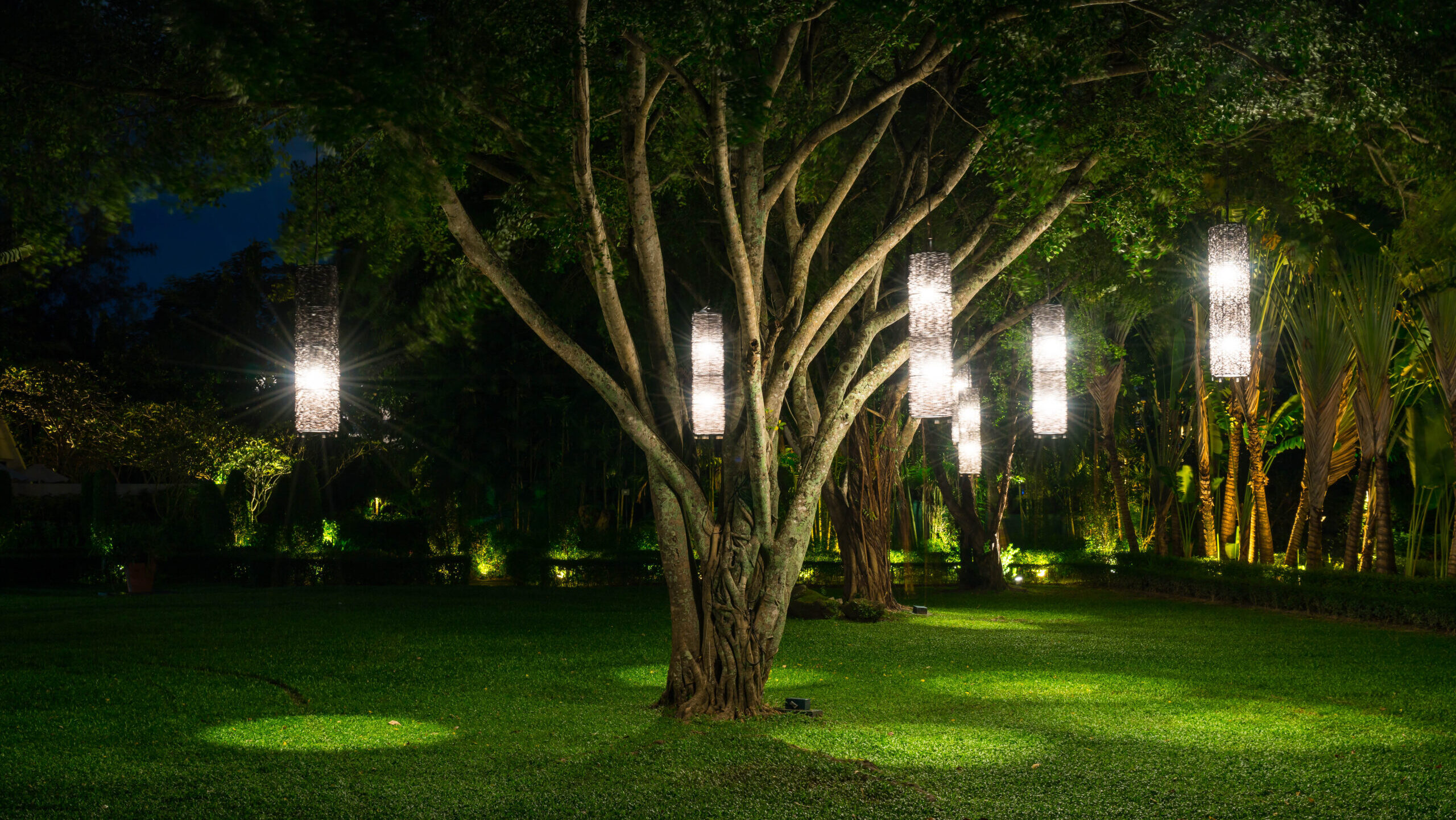 tree with lamp lighting in garden