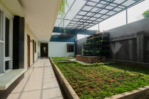 A contemporary courtyard featuring a green garden and vertical planters under a transparent roof.