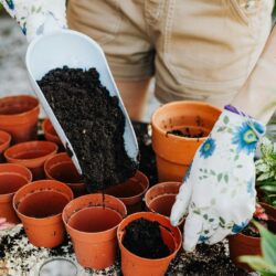 Maximizing Your Blog’s Reach: SEO Tips for Bloggers