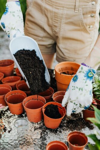 Close-up of soil being placed in clay pots with floral gloves, ideal for gardening themes.