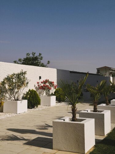 Elegant modern patio with potted plants under a clear blue sky.