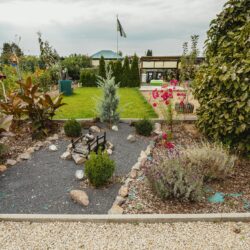 The Essentials of Blogging: Tips and Strategies for Success